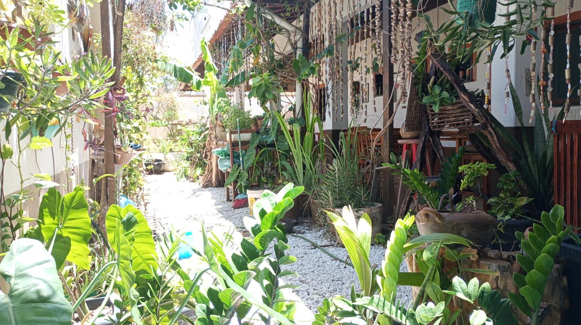 Pousada E Pizzaria Sol E Alegria Fortaleza  Buitenkant foto